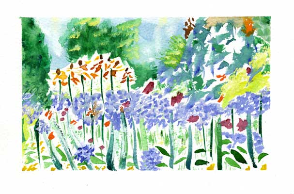  Riot Of Wildflowers